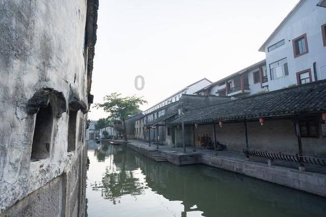 拯救蓝色小鸟